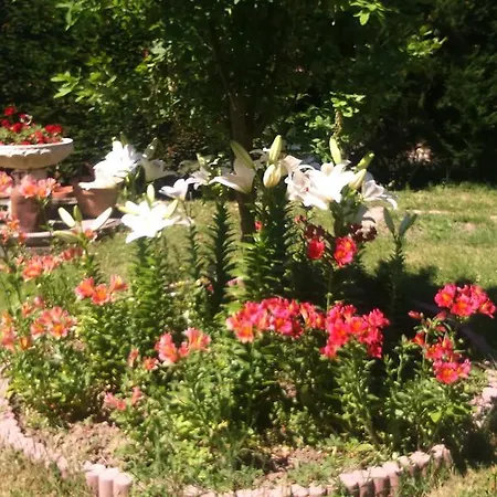 Holiday home Calabrisella *